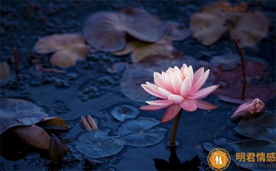 男人一旦对你感到亏欠,他会主动为你做这些事情