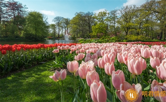男生最招架不住的撩法,这几招方法一定要学会