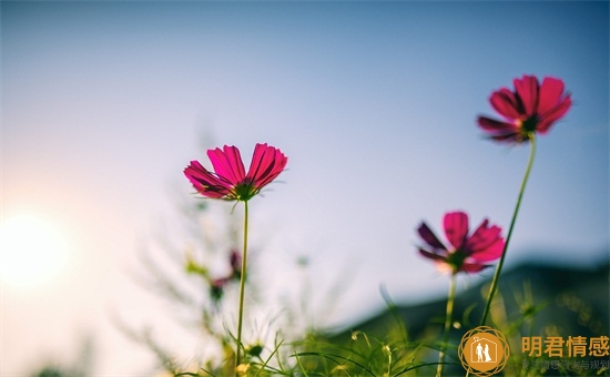 男人对小三的愧疚感从哪里来,男人为什么会对小三有愧疚感