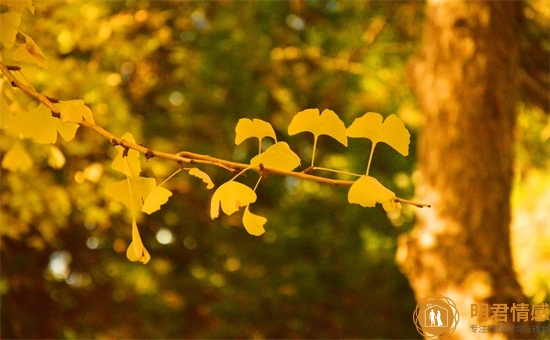 最让水瓶男心动的瞬间,水瓶男对你心动的信号