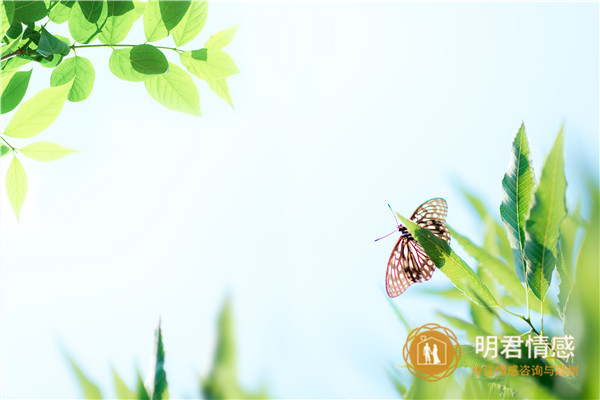 治老公出轨最好的办法是离婚吗,丈夫出轨的最好办法是什么