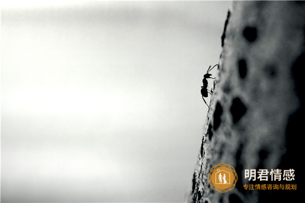 老婆冷落我我该怎么办,挽回老婆有哪些正确的方式