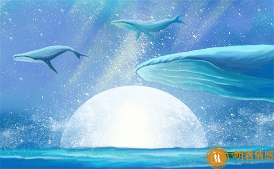 怎么和女生聊天,能让女人迅速对你感兴趣的技巧