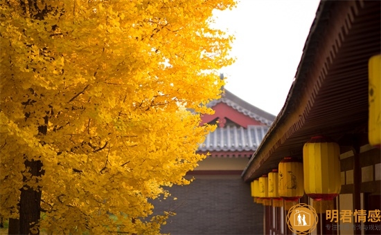 喜欢我的女孩子放手了,你会感到失落吗?