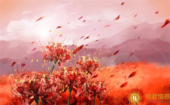 離婚率高的原因,離婚率年年創(chuàng)新高的核心原因