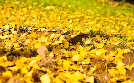 如何经营婚姻,丈夫坚决离婚怎么办