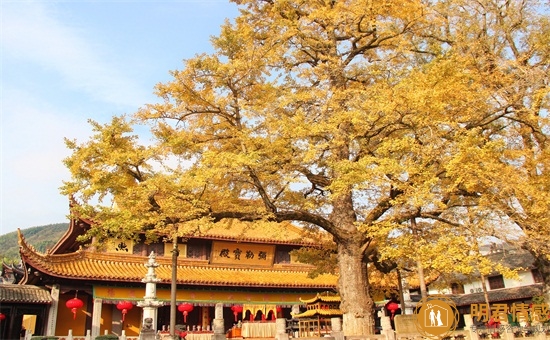 如何挽回丈夫,失去了信任该怎么挽回 如何挽回丈夫,失去了信任该怎么挽回