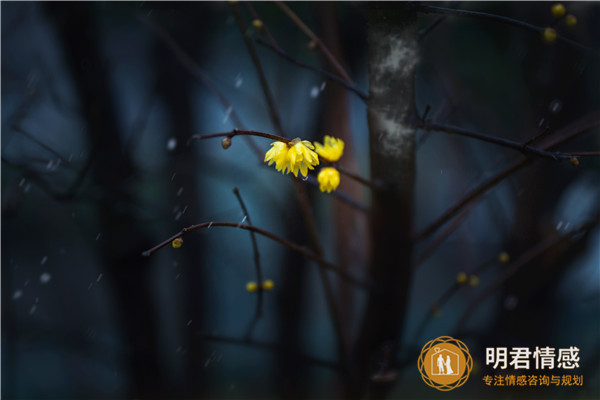 怎么挽回丈夫,挽回变心老公的最佳技巧 怎么挽回丈夫,挽回变心老公的最佳技巧