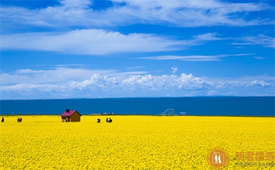 水瓶座男生喜欢一个人的五种表现,准到爆 水瓶座男生喜欢一个人的五种表现,准到爆