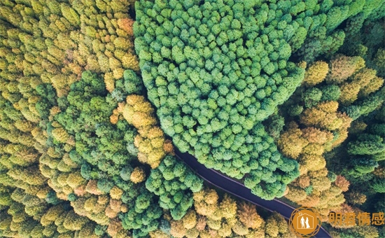 怎么哄女朋友不生气,女朋友生气怎么哄