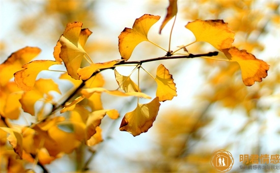 和女生主动聊天说啥,和女孩聊天的第一句话说什么