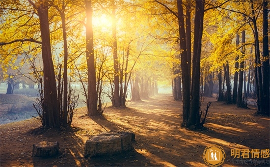 分手了该怎么去挽留,分手了怎么挽回爱情 分手了该怎么去挽留,分手了怎么挽回爱情