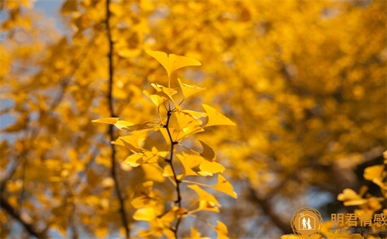 怎么幽默的聊天,聊天幽默技巧 怎么幽默的聊天,聊天幽默技巧