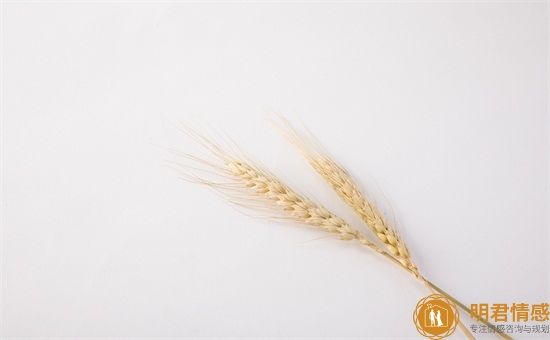 拯救婚姻的方法,可以试试这四个技巧 拯救婚姻的方法,可以试试这四个技巧