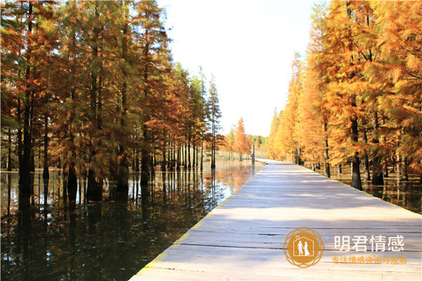 和女生聊天有哪些话题,应该聊什么话题