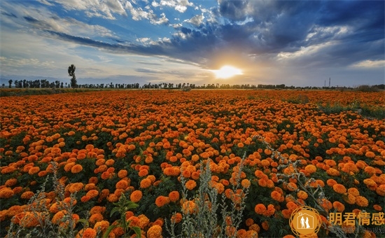 女朋友生气了要分手怎么挽回,惹女朋友生气如何挽回 女朋友生气了要分手怎么挽回,惹女朋友生气如何挽回