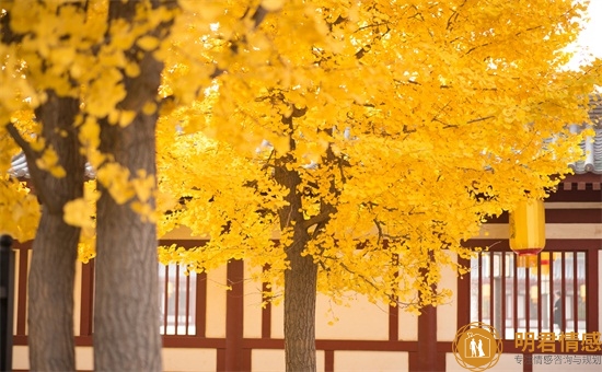 命中注定的缘分暗示,你留意到了吗