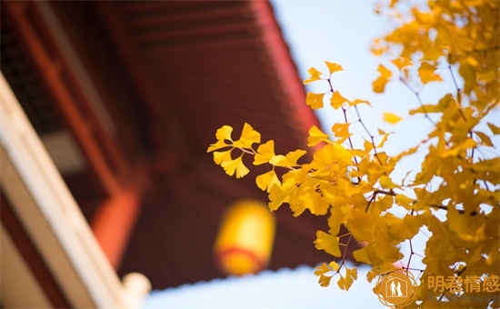 命中注定的缘分暗示,两个人缘分很深的表现