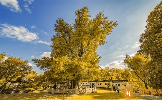 巨蟹和什么星座最配,巨蟹座和哪些星座最配