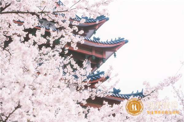 怎么样才能挽回感情,教你挽回感情的方法