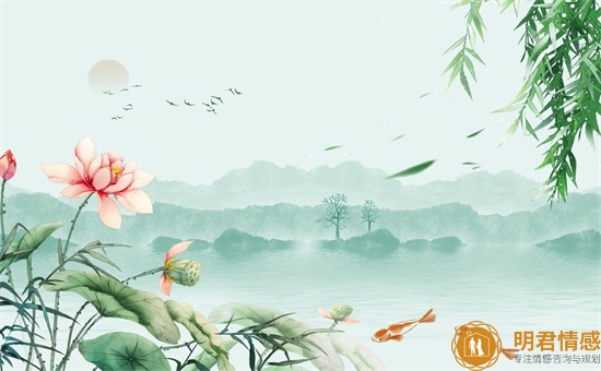 怎么挽回情感,挽回感情的秘