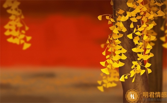 表白被拒绝后怎么聊天,表白被拒绝后怎么相处