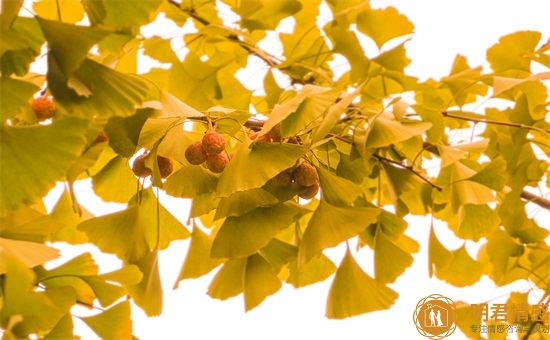 男女感情不合的三种表现,说明你们不合适