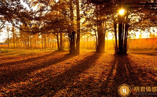 夫妻感情不合,会有这三种表现,瞒不住