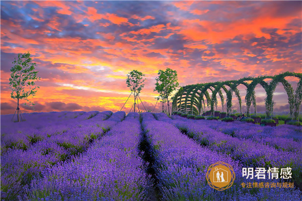 网恋怎么聊维持感情,教你网恋的聊天技巧 网恋怎么聊维持感情,教你网恋的聊天技巧