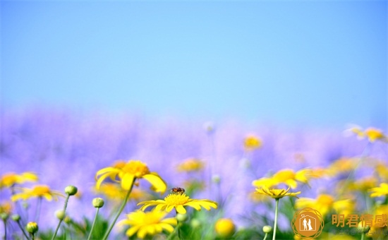 分手后怎么复合,这4招很管用