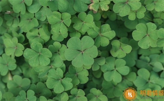 分手后怎么复合,分手复合的五个技巧