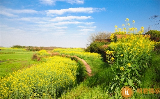 聪明女人离婚做法,一定会给自己留四个后路 聪明女人离婚做法,一定会给自己留四个后路