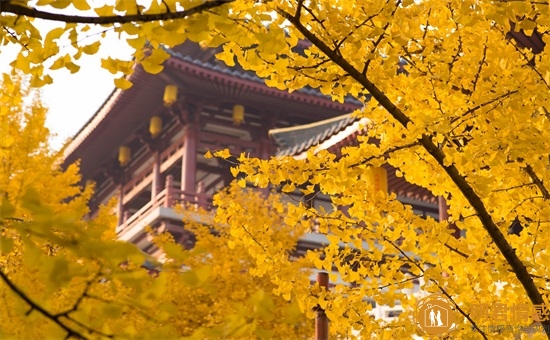 男朋友说分手怎么回复,分手说什么让对方心疼心碎 男朋友说分手怎么回复,分手说什么让对方心疼心碎