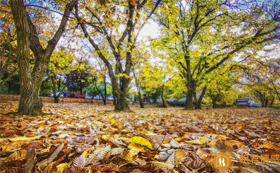 清晨的第一缕阳光唯美句子,形容美好清晨的句子 清晨的第一缕阳光唯美句子,形容美好清晨的句子