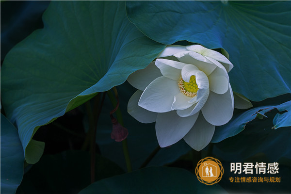 如何挽回老公心,首先要改变自己