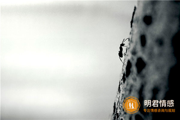 报复出轨男人的最好方法,对付老公出轨最狠招