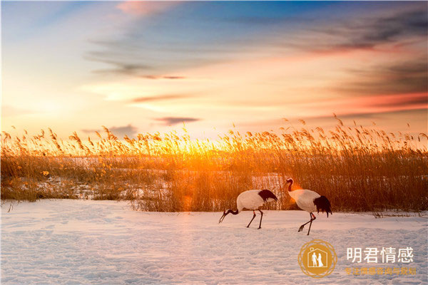 男人想挽回的表现,男人不愿意分手的表现