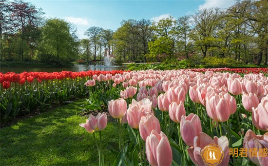 男人遇到真爱身体反应,这六个表现很难隐藏