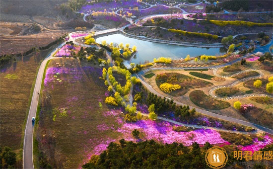 巨蟹座配什么星座,巨蟹座和什么星座最配