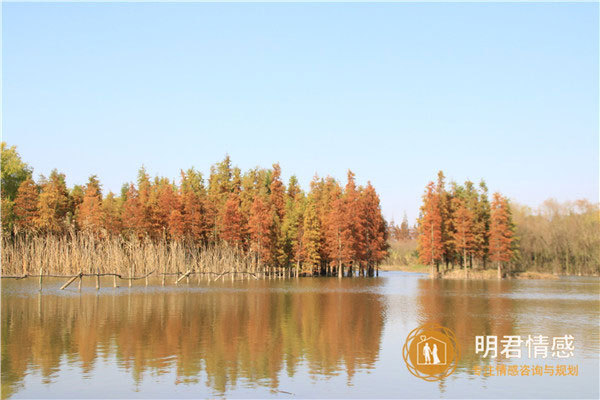 怎么挽回老婆的心,教你六个技巧挽回