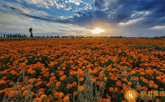 天蝎男跟什么星座最配,天蝎男和什么星座女最配
