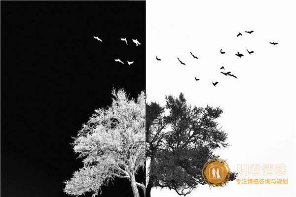 老公出轨老婆正确做法,怎么处理老公出轨