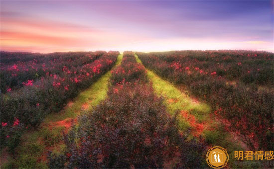 初恋是什么感觉?初恋是什么味道?