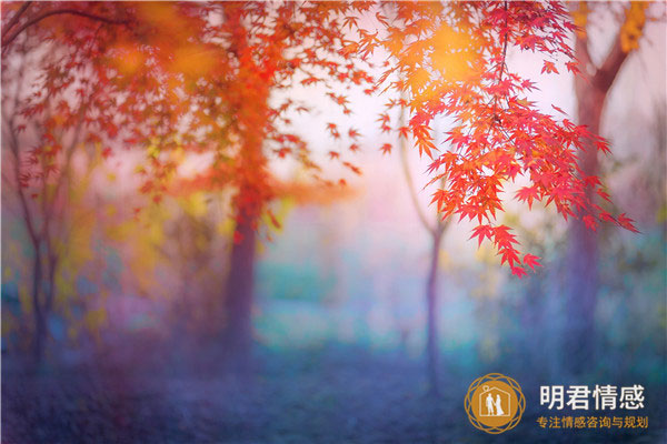 分手后祝福对方的话,愿对方安好的简短句子