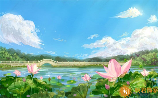 莲花的寓意和象征,莲花的寓意与含义