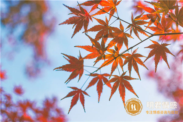 男人酒后吐真言心理学,这四个分析给你答案