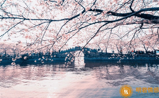 关于鲜花的文案,朋友圈晒花的唯美句子