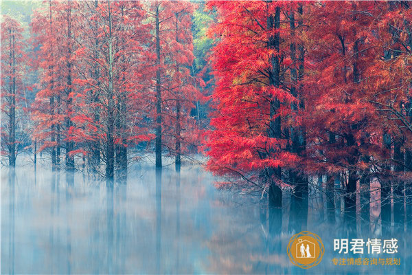 给对象留言的诗句,表达爱意的古诗