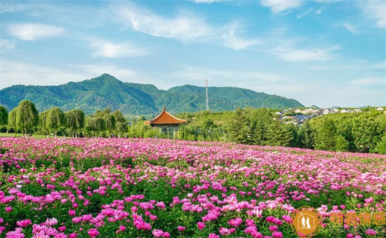 高情商介绍自己的句子,一句话介绍自己
