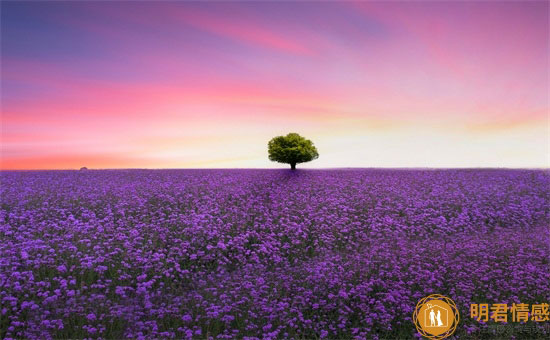 表达父爱最感人的句子,父爱深情的唯美句子